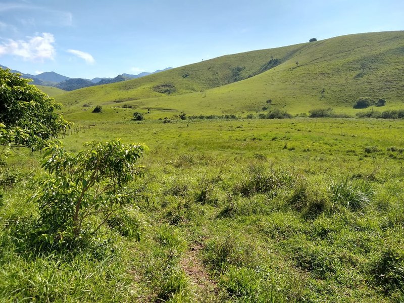 FAZENDA COM 81 ALQUEIRES EM CRUZEIRO SP - CRUZEIRO - 
