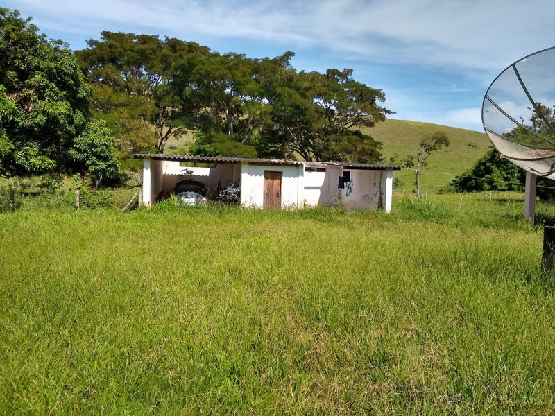 FAZENDA COM 81 ALQUEIRES EM CRUZEIRO SP - CRUZEIRO - 
