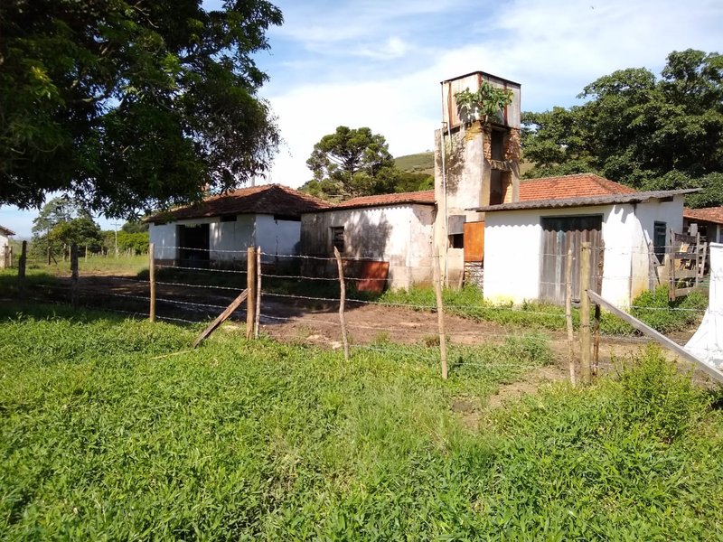 FAZENDA COM 81 ALQUEIRES EM CRUZEIRO SP - CRUZEIRO - 