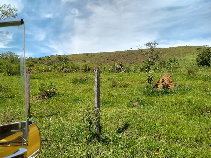 FAZENDA COM 81 ALQUEIRES EM CRUZEIRO SP - CRUZEIRO - 