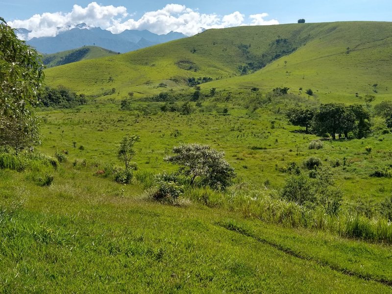 FAZENDA COM 81 ALQUEIRES EM CRUZEIRO SP - CRUZEIRO - 