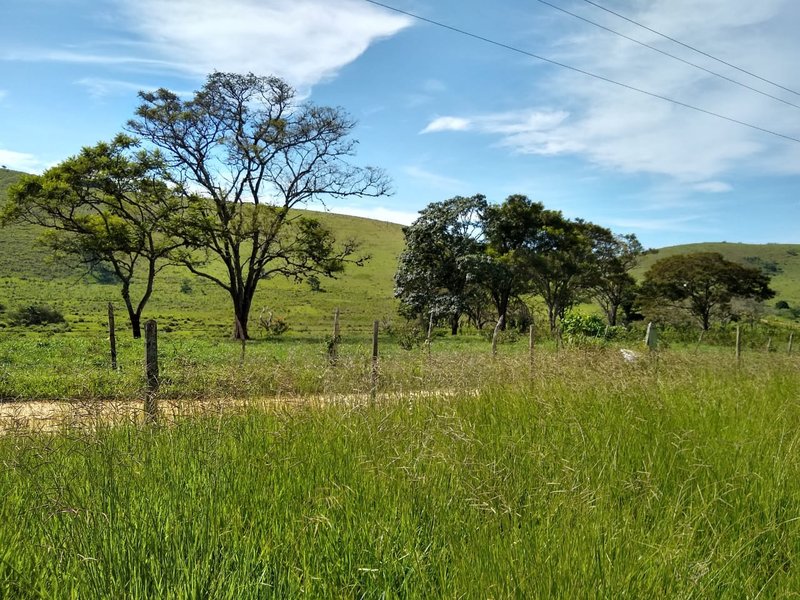 FAZENDA COM 81 ALQUEIRES EM CRUZEIRO SP - CRUZEIRO - 