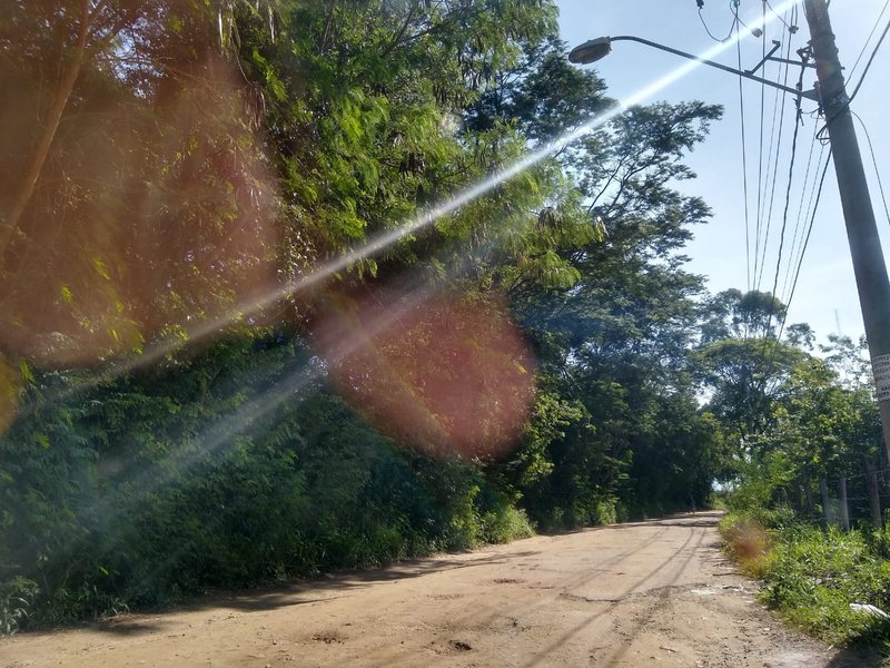 FAZENDA COM 81 ALQUEIRES EM CRUZEIRO SP - CRUZEIRO - 