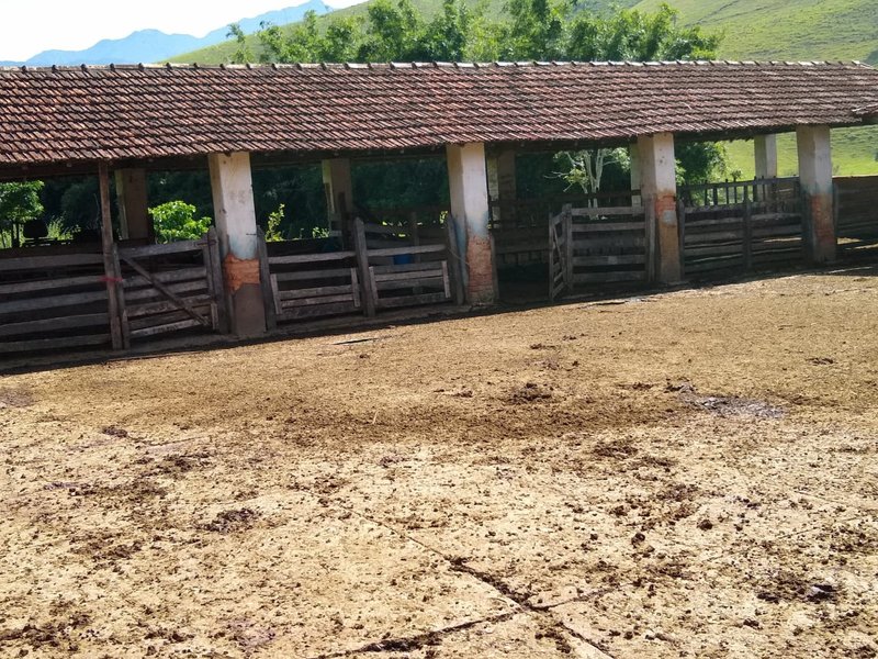FAZENDA COM 81 ALQUEIRES EM CRUZEIRO SP - CRUZEIRO - 