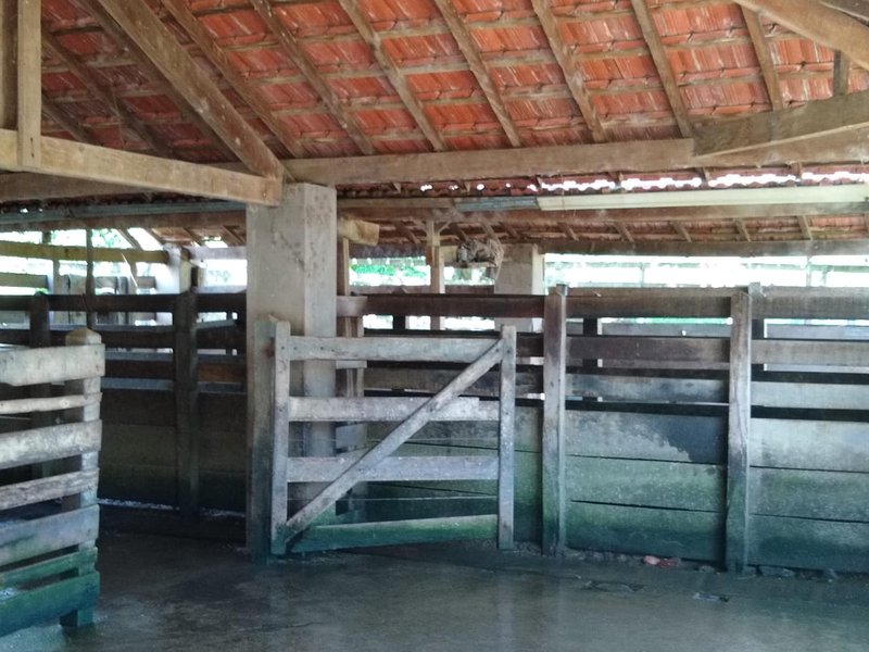 FAZENDA COM 81 ALQUEIRES EM CRUZEIRO SP - CRUZEIRO - 