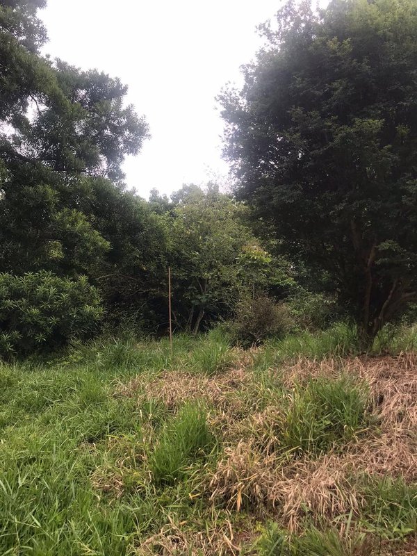 CHACARA COM 5.061 METROS EM CAÇAPAVA SP - Caçapava - 