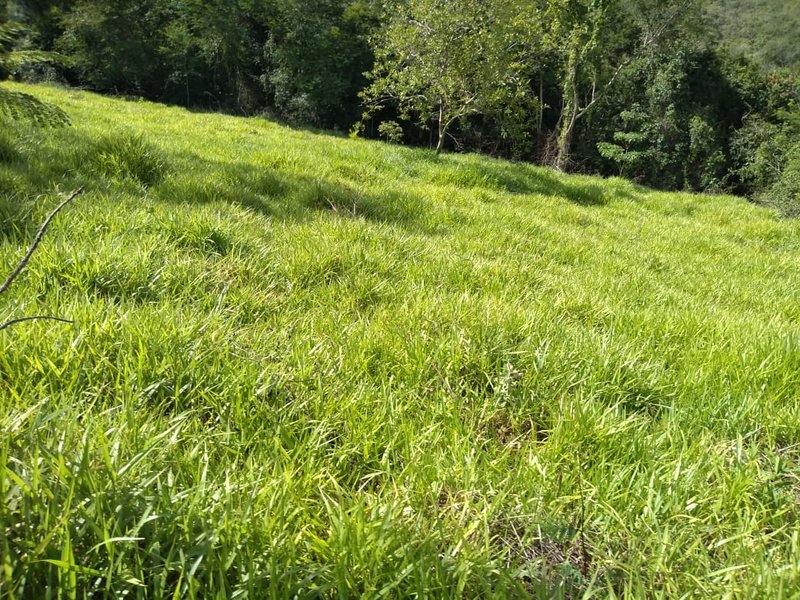 FAZENDA COM 110 ALQUEIRES EM CLARAVAL/MINAS GERAIS - CLARAVAL - 
