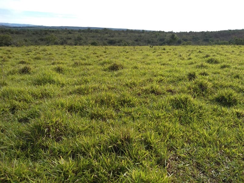 FAZENDA COM 110 ALQUEIRES EM CLARAVAL/MINAS GERAIS - CLARAVAL - 