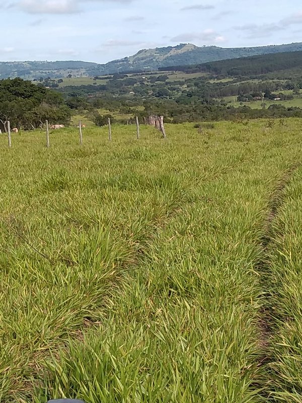 FAZENDA COM 110 ALQUEIRES EM CLARAVAL/MINAS GERAIS - CLARAVAL - 