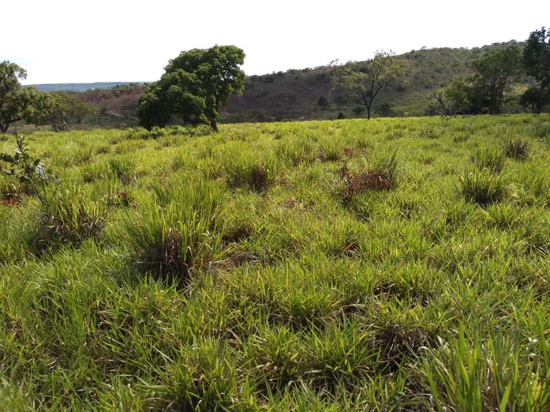 FAZENDA COM 110 ALQUEIRES EM CLARAVAL/MINAS GERAIS - CLARAVAL - 