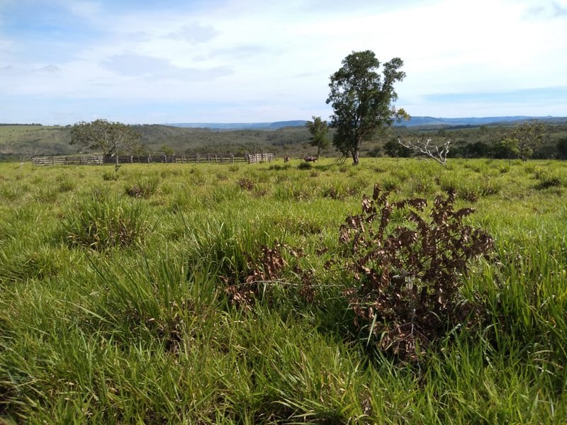 FAZENDA COM 110 ALQUEIRES EM CLARAVAL/MINAS GERAIS - CLARAVAL - 