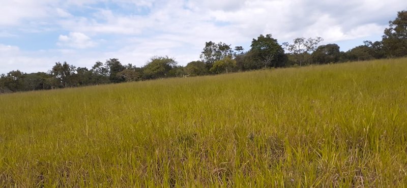 FAZENDA COM 110 ALQUEIRES EM CLARAVAL/MINAS GERAIS - CLARAVAL - 