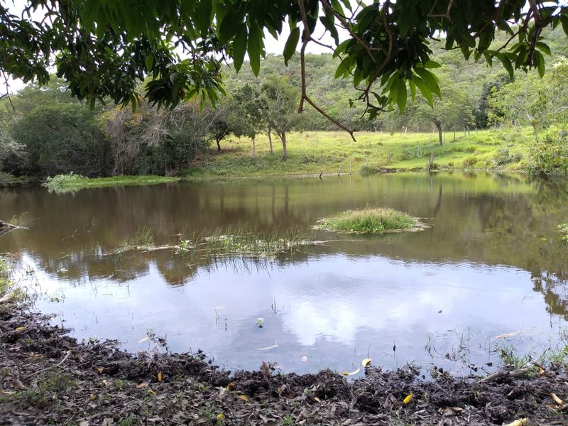 FAZENDA COM 110 ALQUEIRES EM CLARAVAL/MINAS GERAIS - CLARAVAL - 