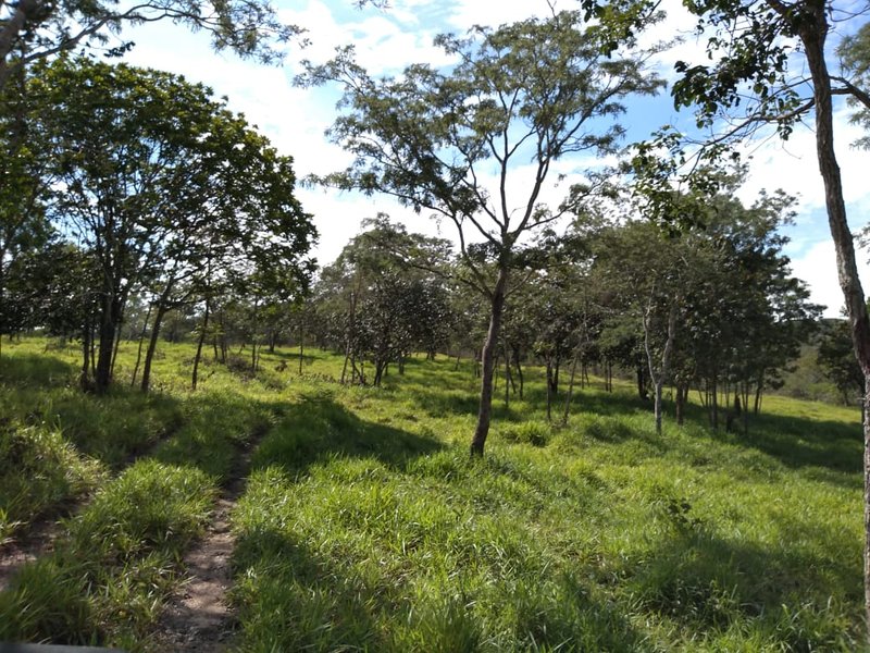 FAZENDA COM 110 ALQUEIRES EM CLARAVAL/MINAS GERAIS - CLARAVAL - 