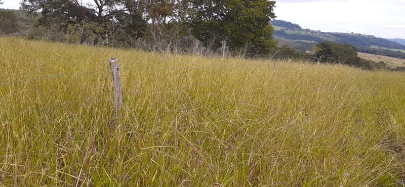 FAZENDA COM 110 ALQUEIRES EM CLARAVAL/MINAS GERAIS - CLARAVAL - 