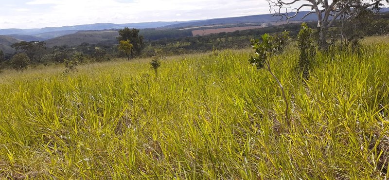 FAZENDA COM 110 ALQUEIRES EM CLARAVAL/MINAS GERAIS - CLARAVAL - 