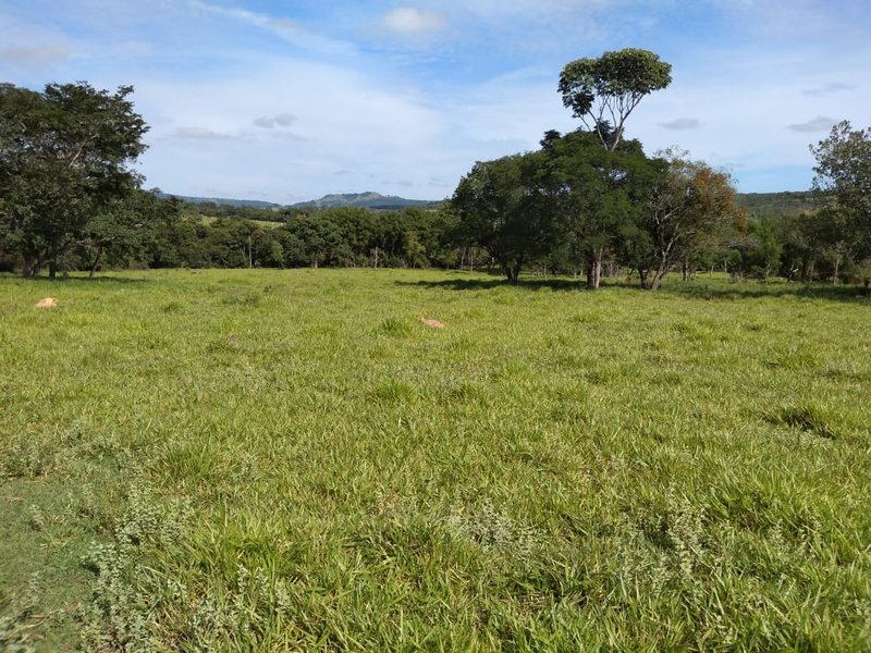 FAZENDA COM 110 ALQUEIRES EM CLARAVAL/MINAS GERAIS - CLARAVAL - 