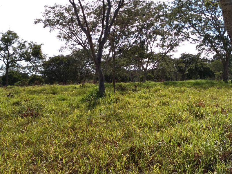 FAZENDA COM 110 ALQUEIRES EM CLARAVAL/MINAS GERAIS - CLARAVAL - 
