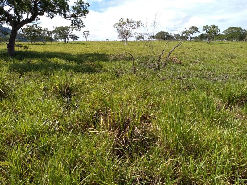 FAZENDA COM 110 ALQUEIRES EM CLARAVAL/MINAS GERAIS - CLARAVAL - 
