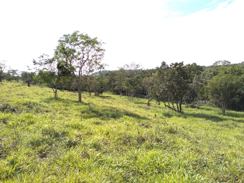 FAZENDA COM 110 ALQUEIRES EM CLARAVAL/MINAS GERAIS - CLARAVAL - 