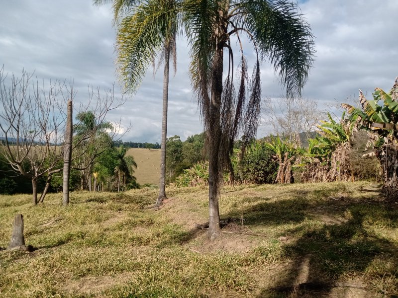 SÍTIO COM 32.000 METROS EM PARAIBUNA/SÃO PAULO - Paraibuna - 