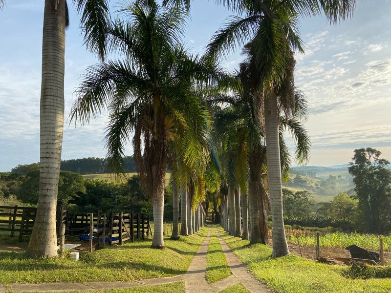SÍTIO COM 32.000 METROS EM PARAIBUNA/SÃO PAULO - Paraibuna - 