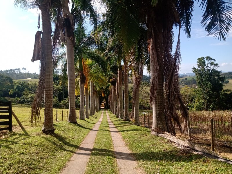 SÍTIO COM 32.000 METROS EM PARAIBUNA/SÃO PAULO - Paraibuna - 