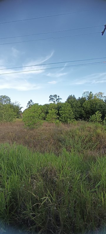 Area Plana 170 mtrs Frente Rod BA001 - Prox Arraial D´ajuda Frente Rod BA 001 Porto Seguro - 