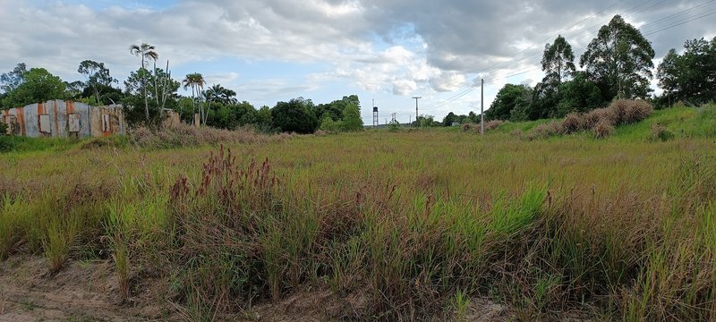 Area Plana 170 mtrs Frente Rod BA001 - Prox Arraial D´ajuda Frente Rod BA 001 Porto Seguro - 