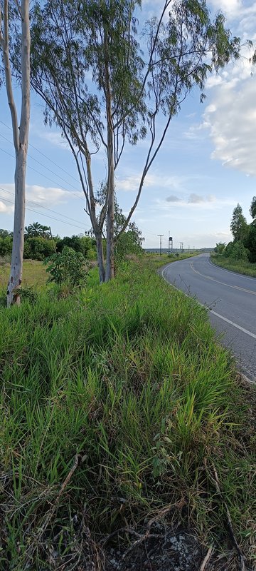 Area Plana 170 mtrs Frente Rod BA001 - Prox Arraial D´ajuda Frente Rod BA 001 Porto Seguro - 
