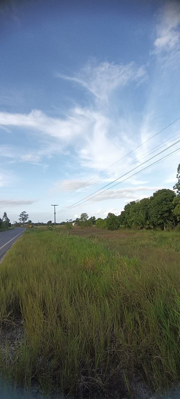 Area Plana 170 mtrs Frente Rod BA001 - Prox Arraial D´ajuda Frente Rod BA 001 Porto Seguro - 