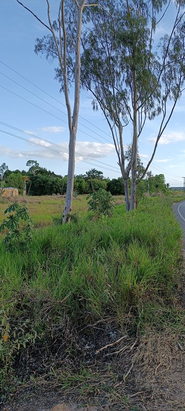 Area Plana 170 mtrs Frente Rod BA001 - Prox Arraial D´ajuda Frente Rod BA 001 Porto Seguro - 