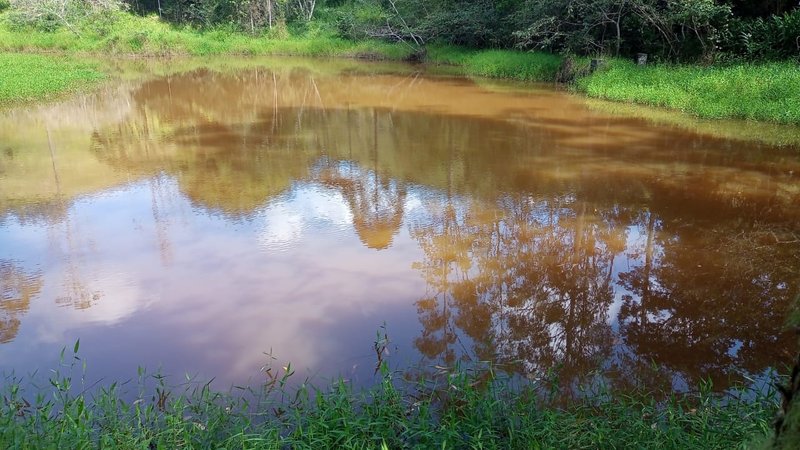 SITÍO COM 16.5 ALQUEIRES EM SÃO FRANCISCO XAVIER/SÃO PAULO - SAO FRANCISCO - 