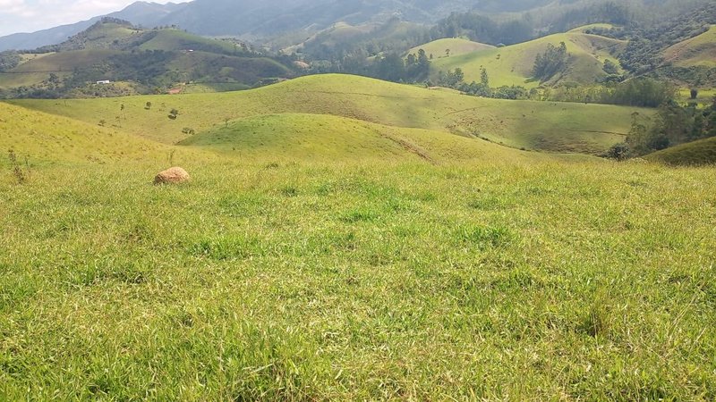 SITÍO COM 16.5 ALQUEIRES EM SÃO FRANCISCO XAVIER/SÃO PAULO - SAO FRANCISCO - 