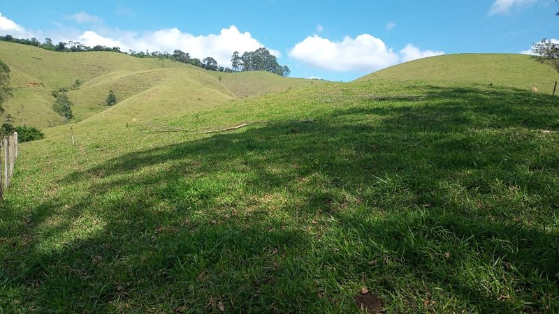 SITÍO COM 16.5 ALQUEIRES EM SÃO FRANCISCO XAVIER/SÃO PAULO - SAO FRANCISCO - 