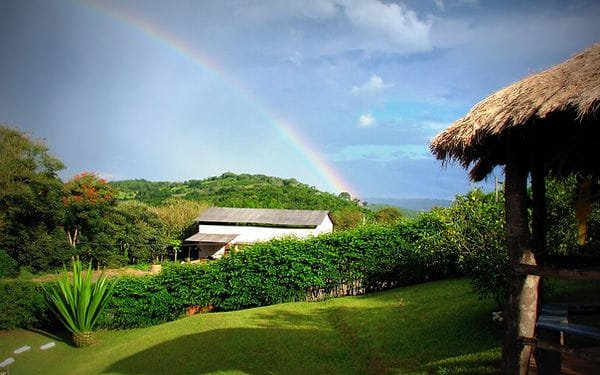 FAZENDA COM 110 HECTARES NA REGIÃO CAMBUQUIRA/MINAS GERAIS - CAMBUQUIRA - 