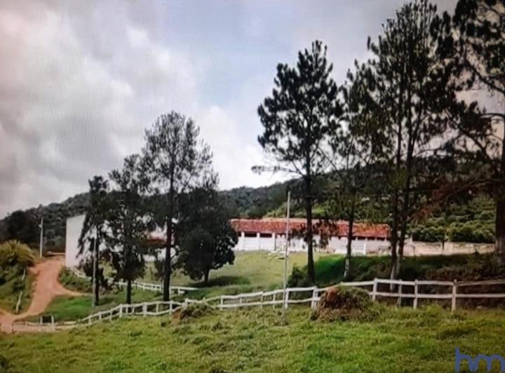 FAZENDA COM 110 HECTARES NA REGIÃO CAMBUQUIRA/MINAS GERAIS - CAMBUQUIRA - 