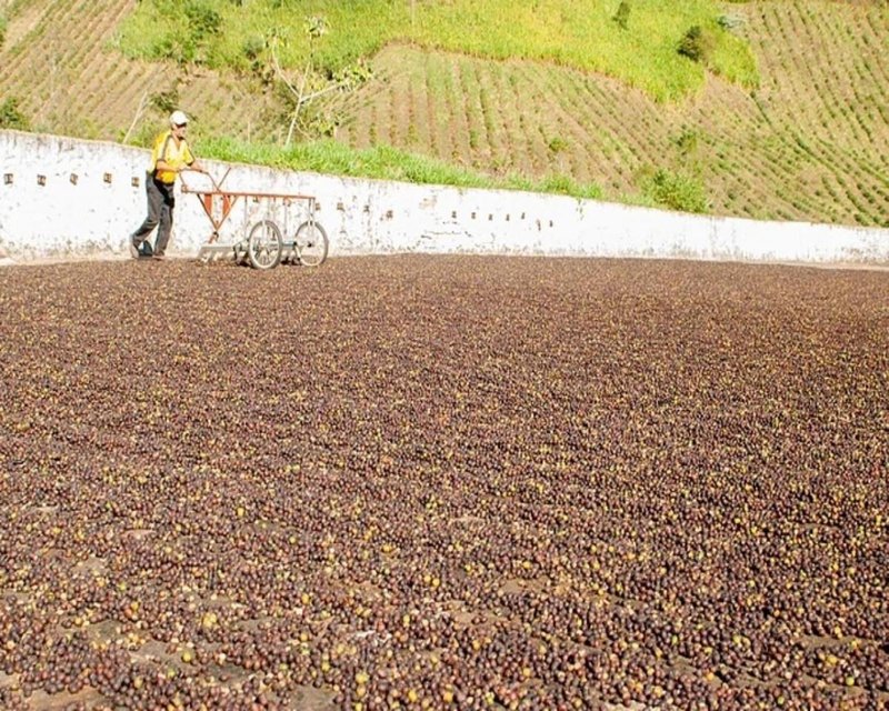 FAZENDA COM 110 HECTARES NA REGIÃO CAMBUQUIRA/MINAS GERAIS - CAMBUQUIRA - 