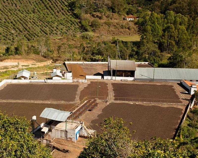 FAZENDA COM 110 HECTARES NA REGIÃO CAMBUQUIRA/MINAS GERAIS - CAMBUQUIRA - 