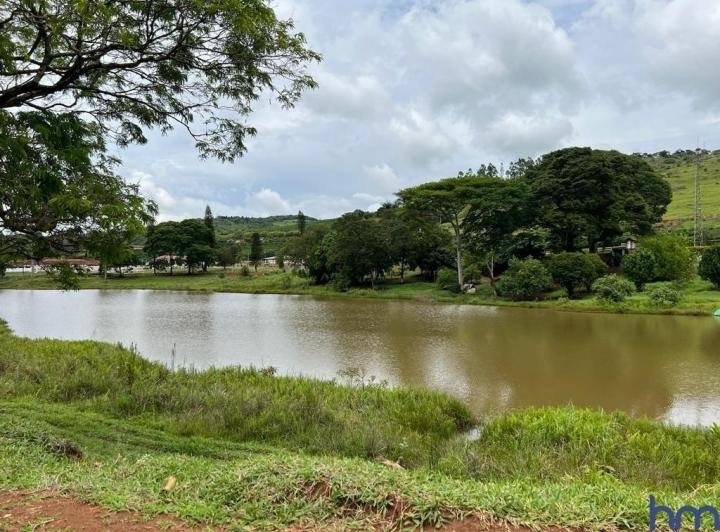 FAZENDA COM 110 HECTARES NA REGIÃO CAMBUQUIRA/MINAS GERAIS - CAMBUQUIRA - 