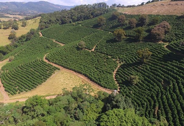 FAZENDA COM 110 HECTARES NA REGIÃO CAMBUQUIRA/MINAS GERAIS - CAMBUQUIRA - 