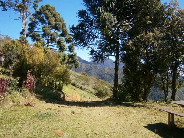 FAZENDA COM 295 ALQUEIRES EM CUNHA/SÃO PAULO - Cunha - 