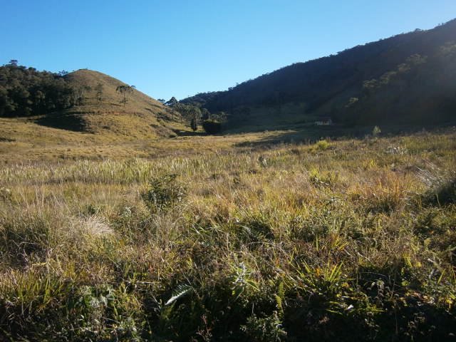 FAZENDA COM 295 ALQUEIRES EM CUNHA/SÃO PAULO - Cunha - 