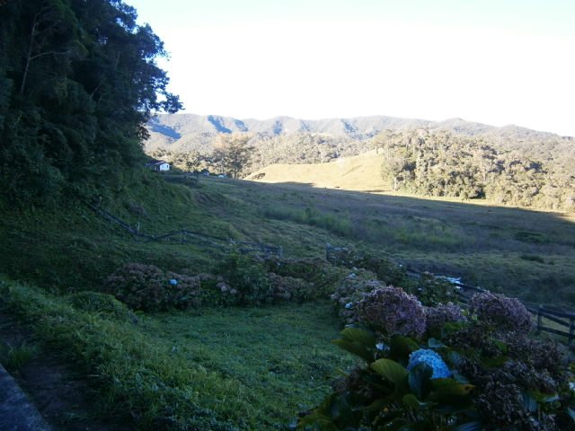 FAZENDA COM 295 ALQUEIRES EM CUNHA/SÃO PAULO - Cunha - 