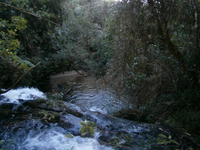 FAZENDA COM 295 ALQUEIRES EM CUNHA/SÃO PAULO - Cunha - 