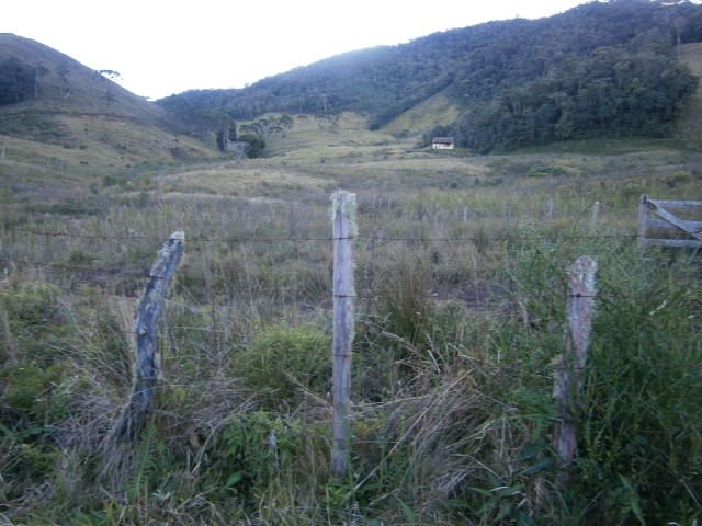 FAZENDA COM 295 ALQUEIRES EM CUNHA/SÃO PAULO - Cunha - 