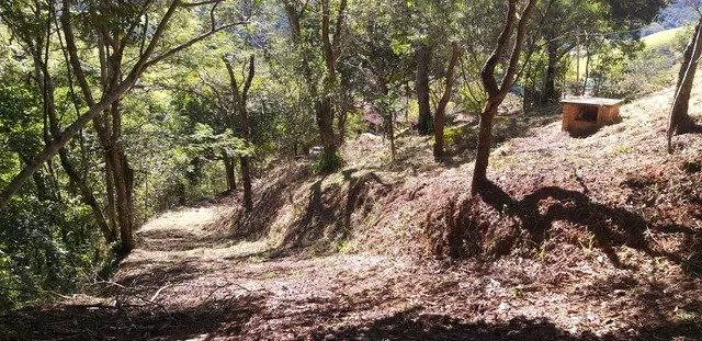 SÍTIO COM 9 HECTARES EM SANTO ANTÔNIO DO PINHAL/SÃO PAULO - Santo Antônio do Pinhal - 