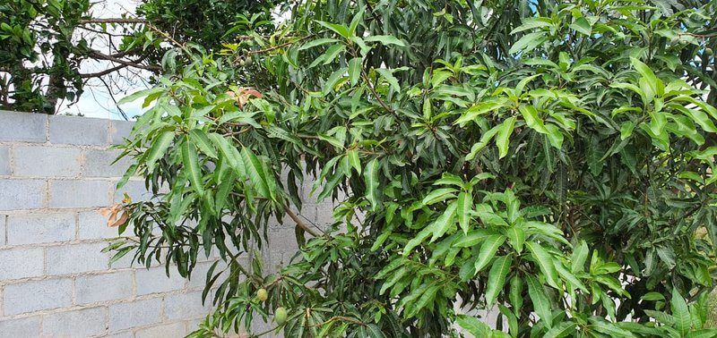 CHÁCARA COM 1.165 METROS NA REPRESA DE PARAIBUNA/SÃO PAULO - Paraibuna - 