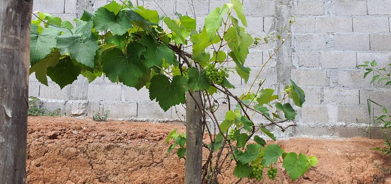 CHÁCARA COM 1.165 METROS NA REPRESA DE PARAIBUNA/SÃO PAULO - Paraibuna - 