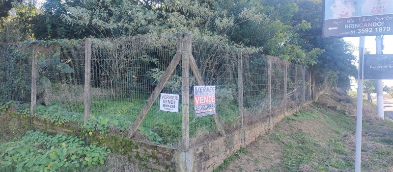 Terreno (acima nível da rua) SL - Bairro Padre Reus Rua do Parque São Leopoldo - 